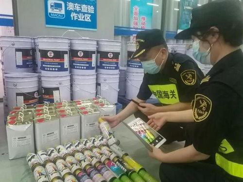 港珠澳大橋海關查獲逾1.5噸未申報?；罚螄T安全防線